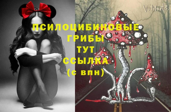 сатива Алексин