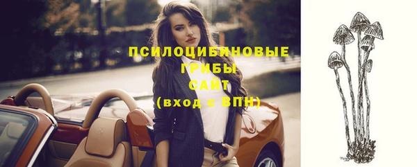 молекула духа Абинск
